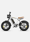 Engwe M20 E-Bike