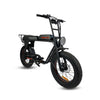 Cruz 73 Retro E-Bike