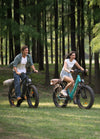 Engwe E26All Terrain E-Bike