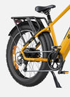 Engwe E26All Terrain E-Bike