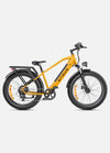 Engwe E26All Terrain E-Bike