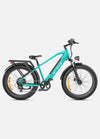 Engwe E26All Terrain E-Bike