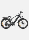 Engwe E26All Terrain E-Bike