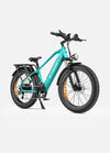 Engwe E26All Terrain E-Bike