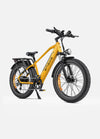 Engwe E26All Terrain E-Bike