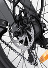 Engwe C20 Pro Folding E-Bike
