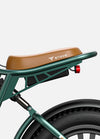 Engwe M20 Dual Battery E-Bike