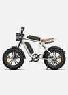 Engwe M20 Dual Battery E-Bike