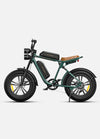 Engwe M20 Dual Battery E-Bike