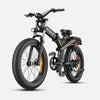 Engwe X24 Folding E-Bike