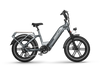 Himiway Big Dog E-Bike