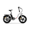 Hygge Vester Step Foldable E-bike